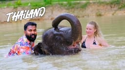 One Day With Elephant | ആനയും ഞാനും പിന്നെ | M4 Tech |