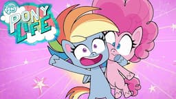 My Little Pony em português NOVA SÉRIE: PONY LIFE 🦄 O Pata Grande | Episódio Completo