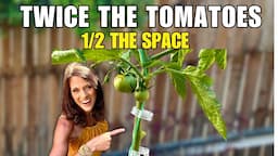 How to Grow Twice the Tomatoes in1/2 the Space