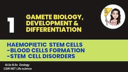 L-1 Haemopoietic stem cells - Blood cell formation, Stem cell Disorders |M.Sc B.Sc CSIR- NET Zoology