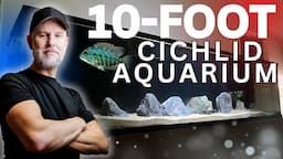 10-FOOT American Cichlid Tank Setup | Custom Aquariums