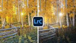 Beginner vs Pro Lightroom Editing: Everyone MUST Try This!