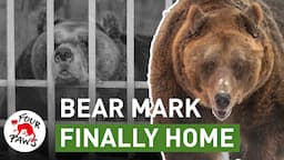 Bear Mark is finally home! ❄️