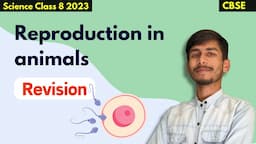 Revision 😎 | Reproduction In Animals Class 8 Science | Class 8 Science Chapter 6 NCERT