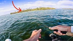 This Island Was LOADED With FISH | FISH N DIVE