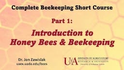 Part 1: Intro to Beekeeping