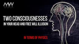 Two Consciousnesses in Your Head and Free Will Illusion