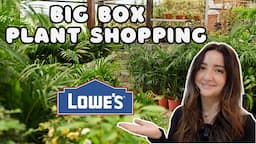 Plant Shopping at Lowe's Big Box Store! 🪴 | February 2024