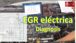 EGR eléctrica 5 cables. Diagnosis paso a paso.