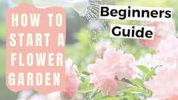 How to Start a Flower Garden for Beginners - Home Gardening for Beginners Flowers