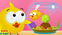 Fish Pot Fun Game With Lucky Ducky 🐡 🎾 | Funny Videos For Kids By KidsCamp