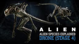 The Drone Xenomorph (Runner and Stalker) Stage 4 XX121 - Alien Species Explained