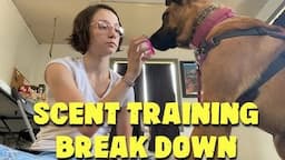 Scent Training Break Down | Medical Alert Service Dog