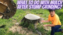 What to do with mulch after stump grinding?