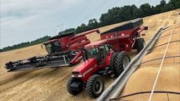 Wheat Harvest RECORD