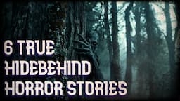 6 TRUE HIDEBEHIND ENCOUNTERS (you haven't heard)