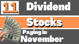 Buy these NOW for a November Dividend Paycheck!