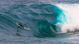 WE PROBABLY SHOULDN’T HAVE TRIED TO SURF THIS WAVE…