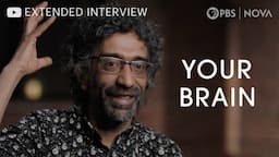 "Your Brain" Series Extended Interview with Bobby Kasthuri - NOVA | PBS