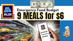 ALDI $6 FOOD CHALLENGE | BREAKFAST, LUNCH, & DINNER for 3 DAYS