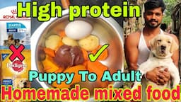 Homemade dog food kese banaye vegetable & chicken mixed homemade dog food recipe best dog foodrecipe