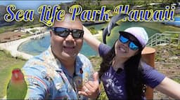 SEA LIFE PARK ADVENTURE: OAHU, HAWAII