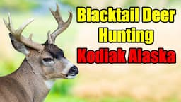 Sitka Blacktail Deer Hunting on Kodiak Island Alaska