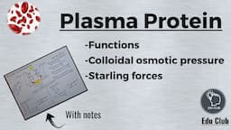 Plasma Proteins | Starling forces | Osmotic pressure || Blood Physiology