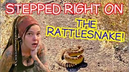 I Stepped On A RATTLESNAKE While Filming & Survived!