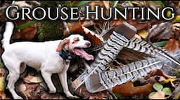 Grouse Hunting Northern WI w/ a Bird Dog