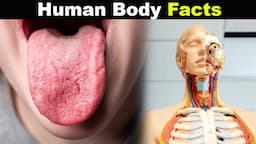 Most Amazing Facts And Things You Didn't Know About Human Body! (Urdu/Hindi)