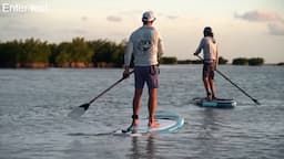 How To Paddle Board For Beginners