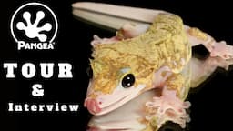 Get the Pangea Reptiles Tour and Interview