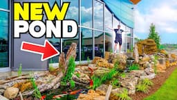 Massive Pond Makeover At The Aquarium!