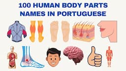 100 Human body parts in Portuguese