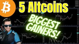 Altcoins Today | Biggest Gainers Price Targets | KDA CHZ HNT ENJ AXS BABY DOGE COIN