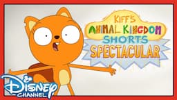 Kiff's Animal Kingdom Shorts Spectacular | Full Special! | 💥 NEW KIFF CHIBI SHORT! | @disneychannel