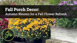 Fall Porch Decor: Autumn Blooms for a Fall Flower Refresh 🌻