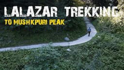 Nature hike in LALAZAR wild life and Mushkpuri Peak ft. SECOND CUP Coffee