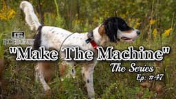 Setter Training on Wild Birds! Finding Wild Grouse & Woodcock "Make the Machine" | Ep: #47