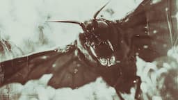 The Saltwood Mystery: Investigating The British Mothman