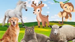 Familiar animals: dog, cat, monkey, horse, sheep, ...