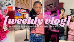 WEEKLY VL☆G | everyday with chae: going to my hometown, vday prep, errands & MORE!