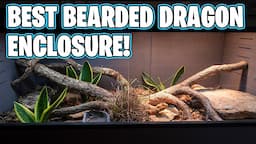 BEST BEARDED DRAGON ENCLOSURE! New Age Pet ECOFLEX Reptile Habitat REVIEW!