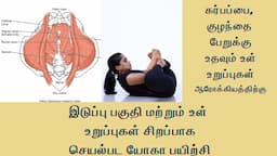 Pelvic Floor  Asanas For  women / urinary leak control / inner organs better function in Tamil