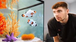 AMAZING Saltwater Fish Room!! [Tour]