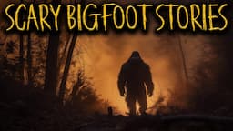 6 Terrifying BIGFOOT Stories That Will Give You Chills | Sasquatch Encounters, Deep Woods, Forest