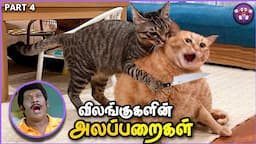 அலப்பறையான ANIMAL சம்பவங்கள் | Funny Animal Moments | Pt.4 | The Magnet Family 2.0