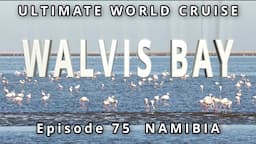 WALVIS BAY: Ep. 75  Ultimate World Cruise: |  Flamingos, Dune 7, and Unexpected Adventures!