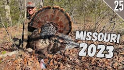 Turkey Hunting OPENING DAY in Missouri! (FIELD GOBBLERS!)